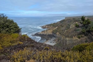 Hiking Tour Along the West Coastline