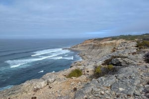 Hiking Tour Along the West Coastline