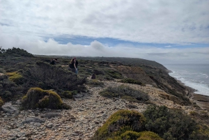 Hiking Tour Along the West Coastline