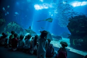 Lisboa: ônibus hop-on hop-off e barco com ingresso para o Oceanário