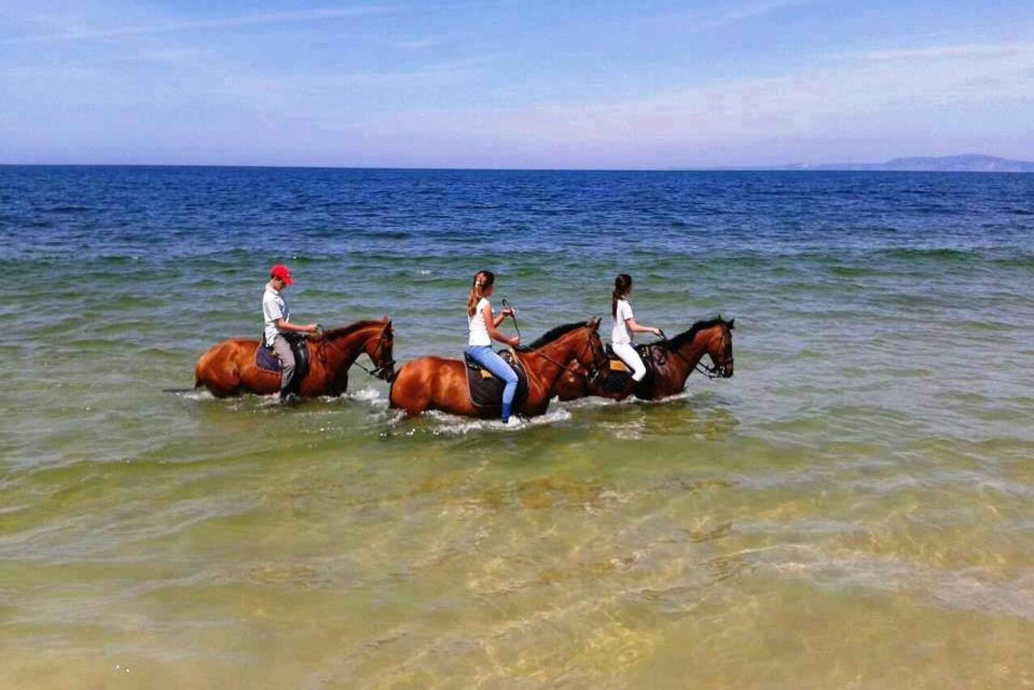 Passeggiata a cavallo sulla spiaggia con trasferimento privato da Lisbona