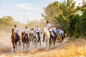 Horseback Riding on the Beach at Sunset