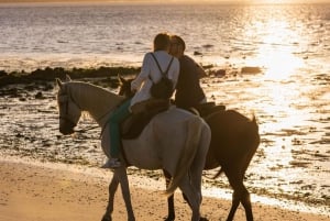 Horseback Riding on the Beach at Sunset