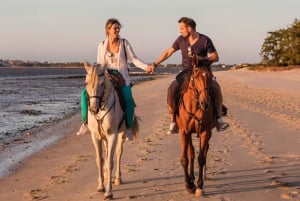 Horseback Riding on the Beach at Sunset