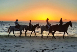 Horseback Riding On The Beach + Tapas + Photo Report - PDT