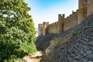 From Lisbon: Knights Templar Day Tour in Tomar
