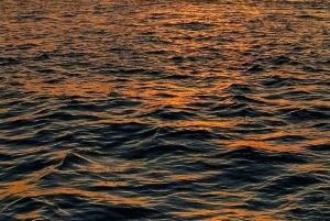 Lisboa:Passeio à vela ao pôr do sol no rio Tejo com welcome drink