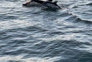 Lisboa:Passeio à vela ao pôr do sol no rio Tejo com welcome drink