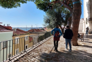 Lisbon: 2.5-hour city tour with 4 local tastings