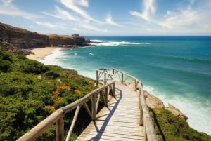 Lissabon: 2-daagse tour naar Évora, Sesimbra en Cork met wijn