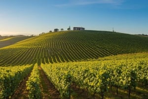 Lissabon: 2-daagse tour naar Évora, Sesimbra en Cork met wijn