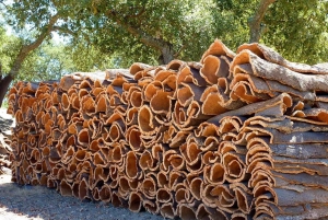 Lissabon: 2-daagse tour naar Évora, Sesimbra en Cork met wijn