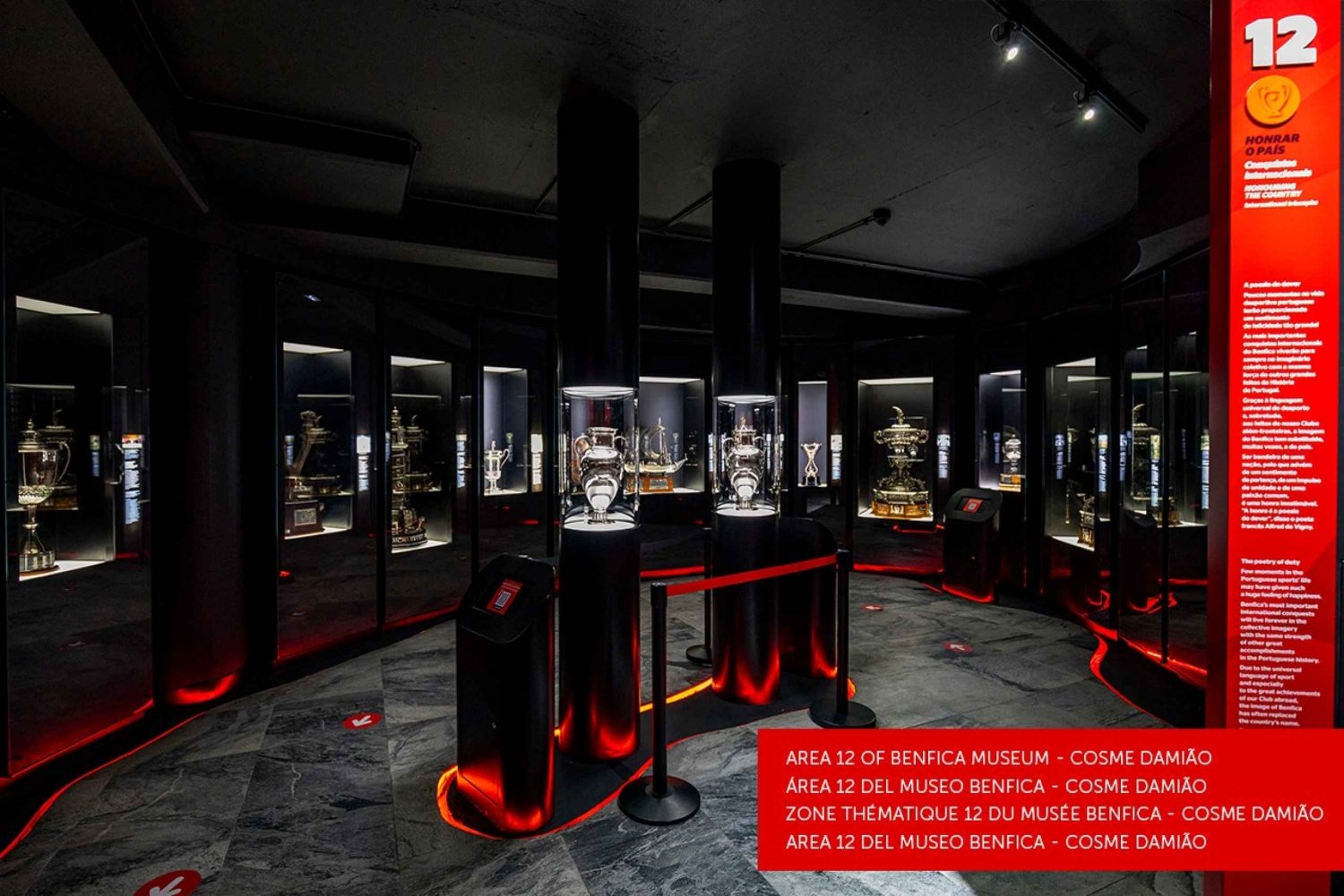 Lisbon: 2-Hour TailorMade Luz Stadium and Guided Museum Tour