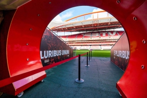 Lisbon: Customized Luz Stadium and Guided Museum Tour