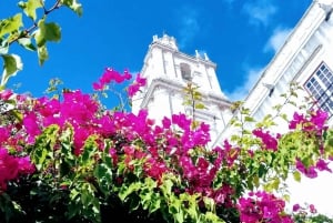Lissabon: 7 heuvels panoramische rondleiding per E-bike
