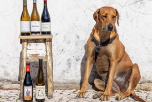 Lisbon: A journey thorugh Portugal By the Glass