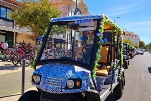 Lissabon: Guidad tur med tuk-tuk Alfama och historia 90 min