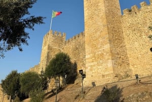 Lisbona: tour a piedi dell'Alfama e del Castello di São Jorge (salta la fila)
