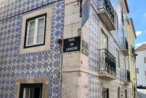 Lisboa: Excursão a pé a Alfama com entrada no Castelo de S. Jorge