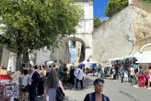 Lisboa: Excursão a pé a Alfama com entrada no Castelo de S. Jorge