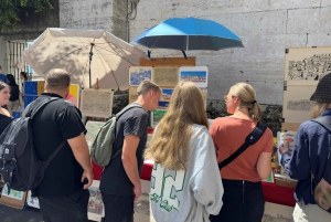 Lisboa: Excursão a pé a Alfama com entrada no Castelo de S. Jorge
