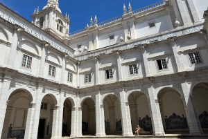 Lisboa: Excursão a pé a Alfama com entrada no Castelo de S. Jorge