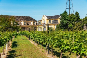 Lisboa: Arrábida og Sesimbra Dagstur med vin