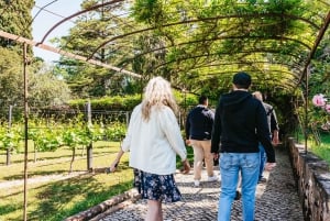 Lisboa: Arrábida og Sesimbra Dagstur med vin