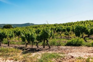 Lisboa: Arrábida og Sesimbra Dagstur med vin