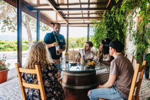 Lisboa: Arrábida og Sesimbra Dagstur med vin