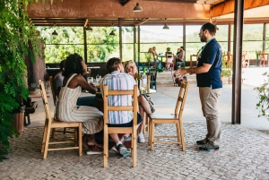 Lisboa: Arrábida og Sesimbra Dagstur med vin