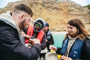Lisboa: Båttur med delfinsafari i Arrábida naturpark