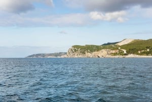 Lisboa: Båttur med delfinsafari i Arrábida naturpark