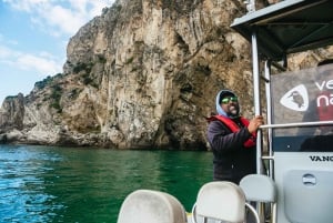 Lisboa: Båttur med delfinsafari i Arrábida naturpark