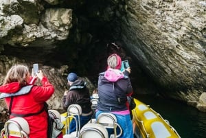 Lisboa: Båttur med delfinsafari i Arrábida naturpark