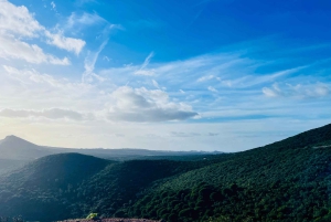 Lizbona: Park Arrábida, Setúbal i wino