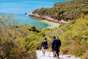 Lizbona: Arrábida Snorkeling Adventure