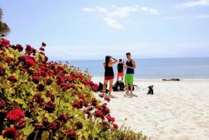 Lizbona: Arrábida Snorkeling Adventure