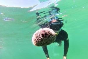 Lizbona: Arrábida Snorkeling Adventure