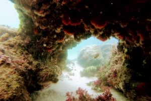 Lizbona: Arrábida Snorkeling Adventure