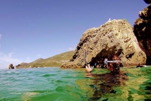 Lizbona: Arrábida Snorkeling Adventure