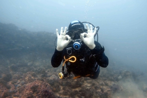 Lisbon: Become a Scuba Diver in 3-Days