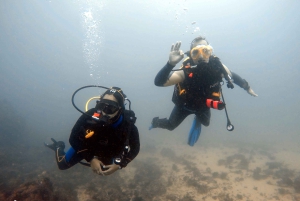 Lisbon: Become a Scuba Diver in 3-Days