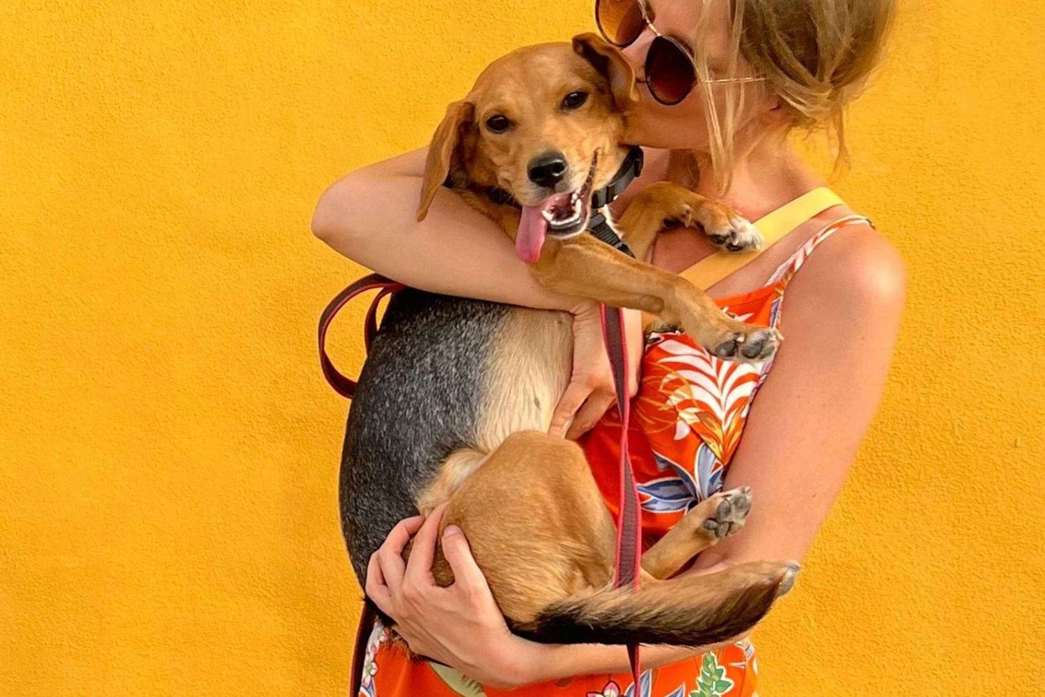 Tour a piedi: la storia di Belém con Annie e il cane Lilly (Lisbona)