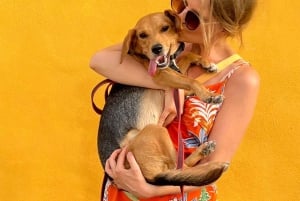 Rundvandring: Belems historia med Annie & hunden Lilly (Lissabon)