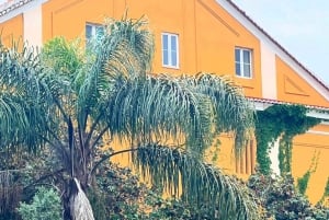 Rundvandring: Belems historia med Annie & hunden Lilly (Lissabon)