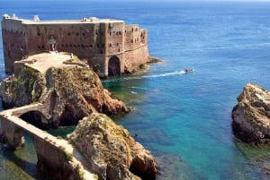 Lisbon: Berlenga Island Full Day Tour