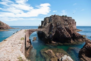 Lisbon: Berlenga Island Full Day Tour
