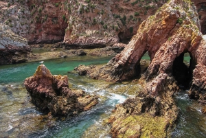Lisbon: Berlenga Island Full Day Tour