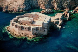 Lisbon: Berlenga Island Full Day Tour